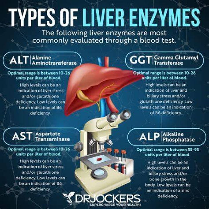Can vitamin B6 cause liver damage?