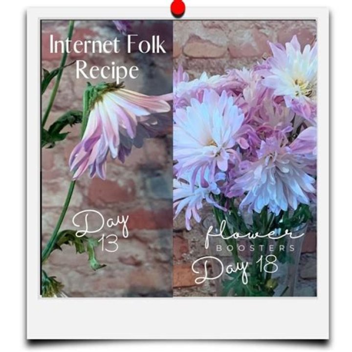 Does baking soda make flowers last longer?