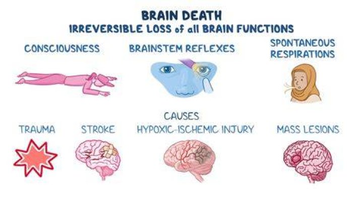 How can I repair my brain damage?