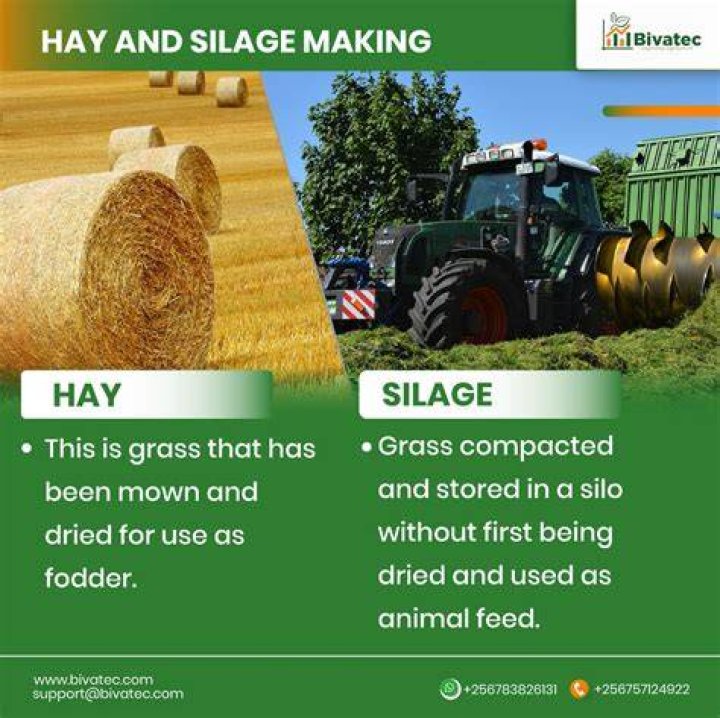 How long can hay be stored for?