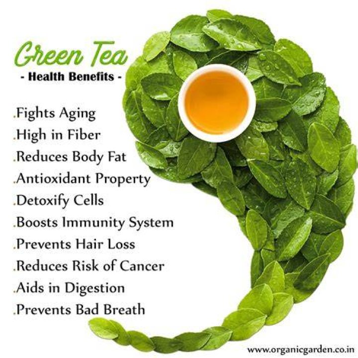 Is green tea good for old age?