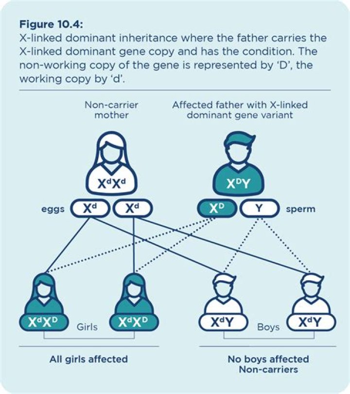 Is there a dominant twin?
