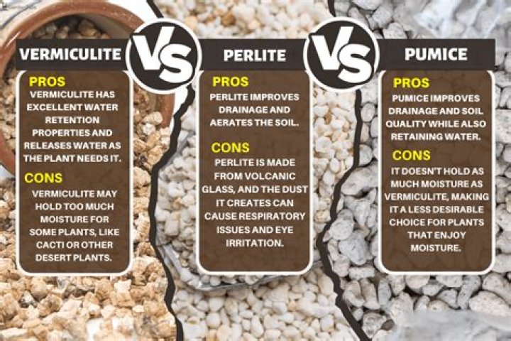 Should you add vermiculite to potting soil?
