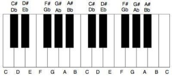 What are black piano keys called?