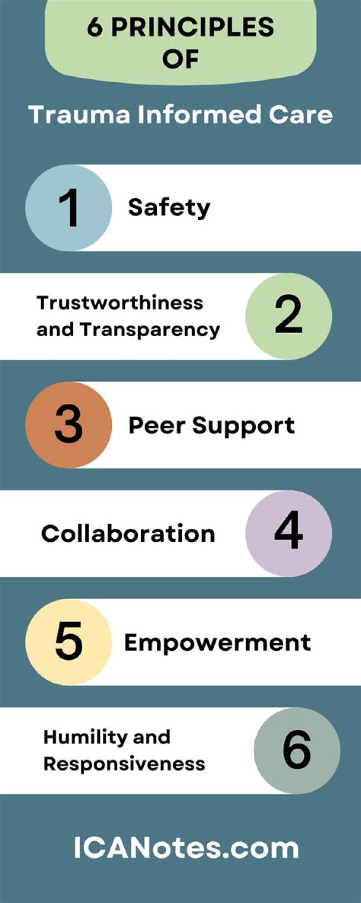 What are the 6 principles of counseling?