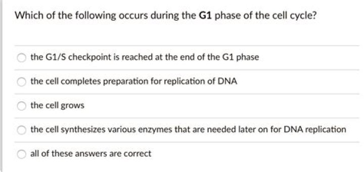 Which of the following occurs during G1?