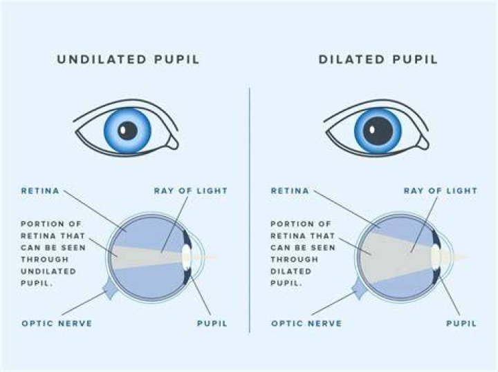 Why does it hurt when they check for dilation?